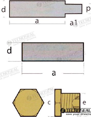 Kit Anodo Ford C/tapon Tecnoseal (Ref. TEN02071T)