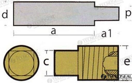 Anodo Scania Completo Zinc Tecnoseal (Ref. TEN02200T)