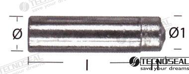 Anodo Lombardini Zinc TEN02353T Tecnoseal