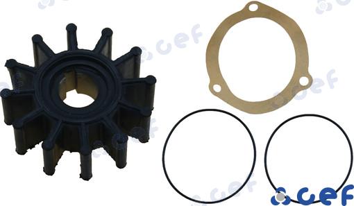 Impulsor Sherwood 09000K Yanmar