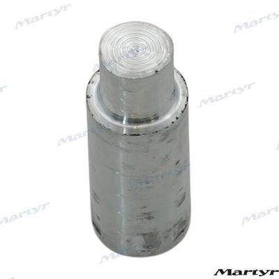 Anodo Onan Zinc Martyr