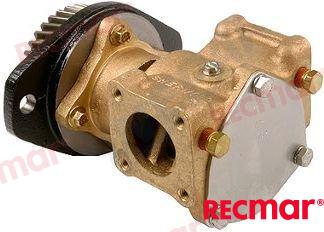 Bomba De Agua Cummins 3866493