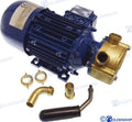 Bomba Electrica 12V 25L/MIN Liverani