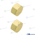 Tapon Hembra 3/4" Goldenship