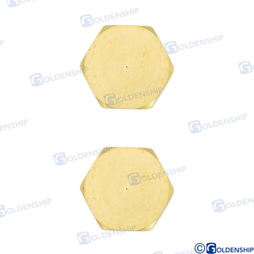 Tapon Hembra 1" Goldenship