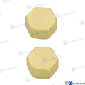 Tapon Hembra 2" Goldenship