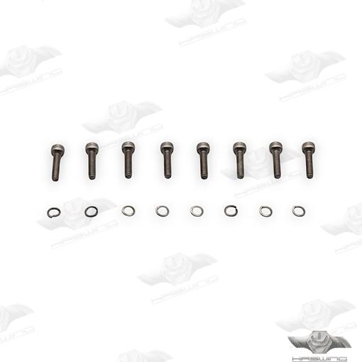 Tornillos Haswing (Ref. HE24001003)