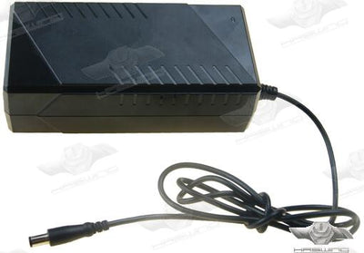 Cargador Bateria Pulsar 3.0 220V Haswing
