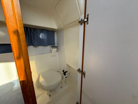 Rio 700 Cabin Fish