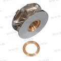 Roldana 12-13MM HR3500 Muir