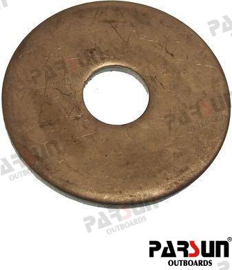 Arandela Parsun (Ref. PAE10-01010007)