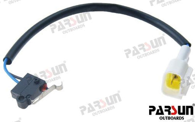 Microrruptor Parsun