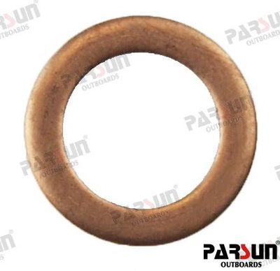 Arandela Parsun (Ref. PAF115-03000014-1)