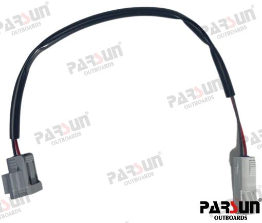 Arnes Electrico Parsun