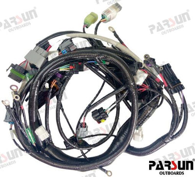Arnes Ecu Parsun