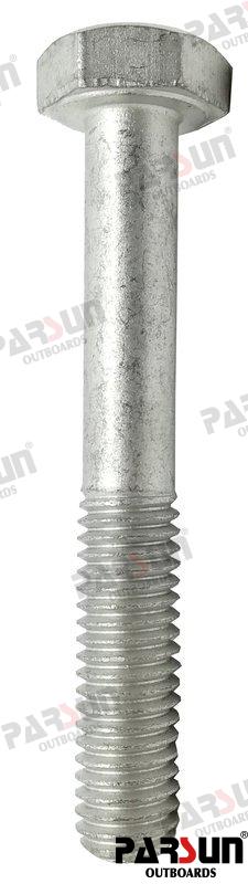 Bolt M8X50 Parsun