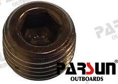 Tapón 1/4" - 18NPT Parsun