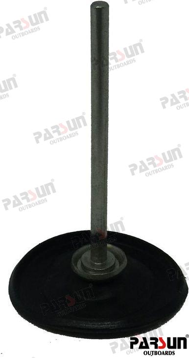 Septum Assy. Parsun