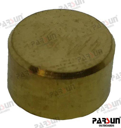 Polea Parsun (Ref. PAF15-13000004W)