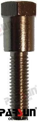 Tornillo Parsun (Ref. PAF20-05000004)