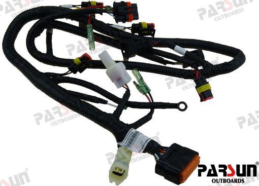 Ecu Cable Assy For "w" Models Parsun
