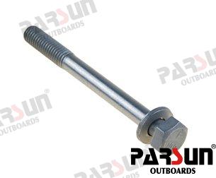 Tornillo M8X80 Parsun (Ref. PAF25-05000035)