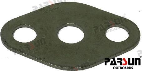 Plate O'ring Parsun