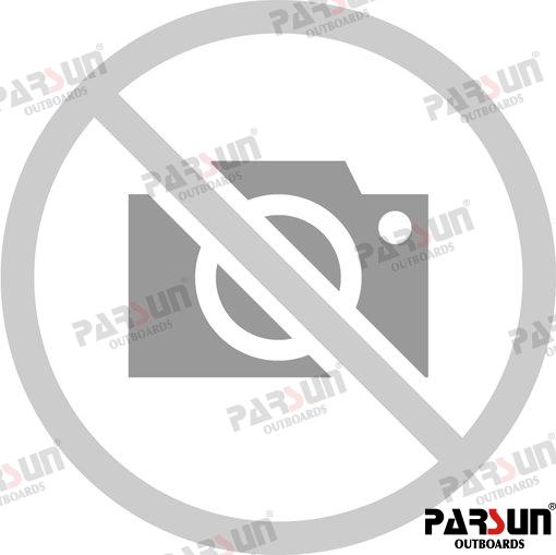 Manguito Combustible Parsun