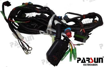 Cables Cdi Parsun (Ref. PAF40-05001000EI)
