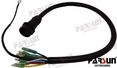 Cables Cdi Parsun (Ref. PAF40-05030500EI)