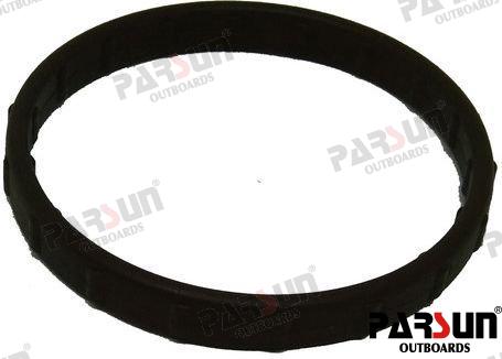 Seal, Throttle Valve Parsun