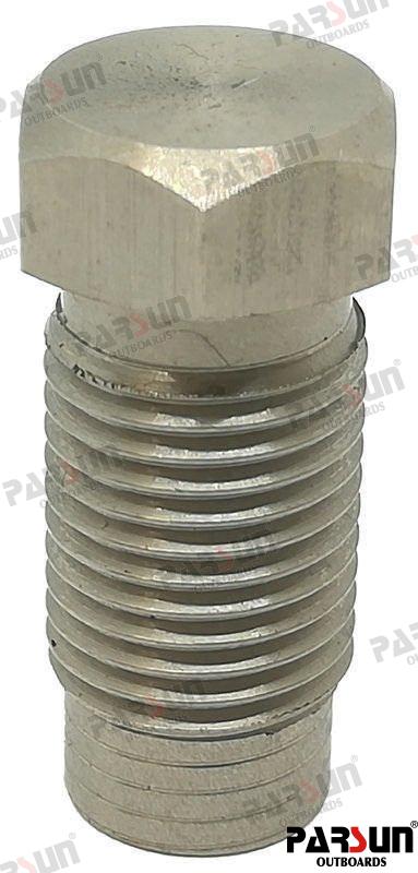 Spring Plunger Parsun