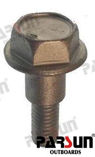 Tornillo Parsun (Ref. PAF8-05050010)