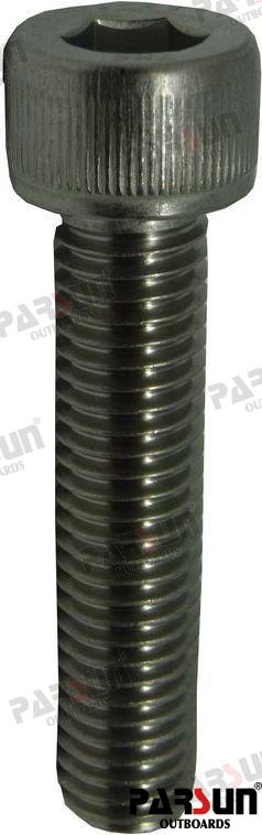 Screw M10X1.5X45 Parsun