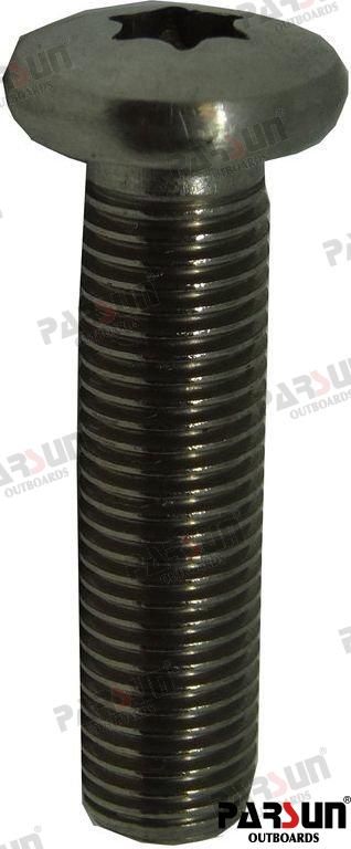 Screw M10X1.25X40 Parsun