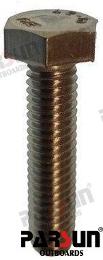 Tornillo Hexagonal Parsun 09116-06229