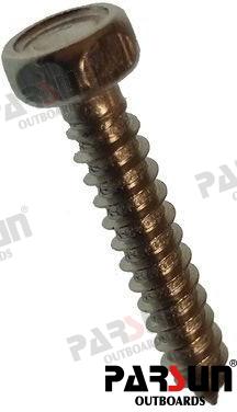 Screw Tapping ST4.8X26 Parsun