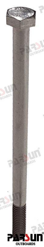 Tornillo Hexagonal M6X100 Parsun