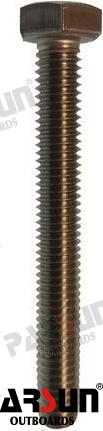 Tornillo M6X50 Parsun