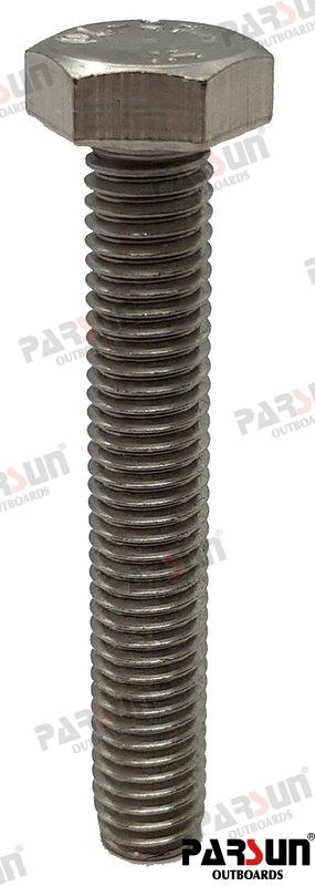 Hexagon Bolt M8X50 Parsun