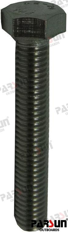 Tornillo M5X30 Parsun
