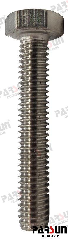 Bolt M6X45 Parsun