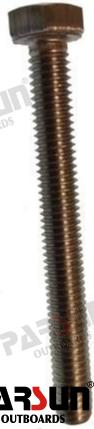Tornillo M6X55 Parsun (Ref. PAGB/T5783-M6X55)