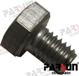 Tornillo M6X8 Parsun (Ref. PAGB/T5783-M6X8)