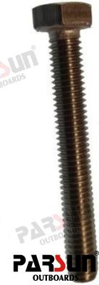 Tornillo Parsun (Ref. PAGB/T6563-M6X45)