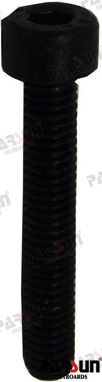 Tornillo M4X25 Parsun (Ref. PAGB/T70.1-M4X25)