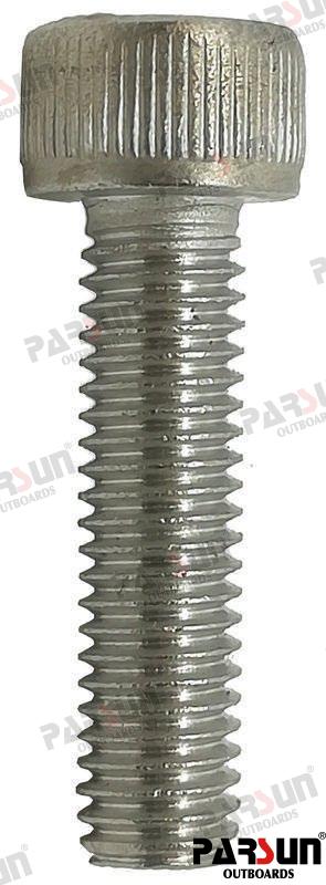 Tornillo M5X20 (black) Parsun