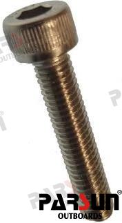 Tornillo M5X25 Parsun (Ref. PAGB/T70.1-M5X25)