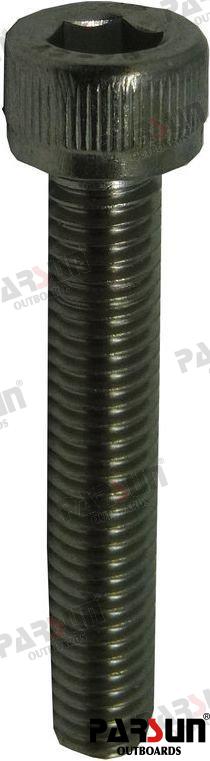Tornillo Hexagonal M6X35 Parsun