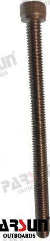 Tornillo M6X85 Parsun